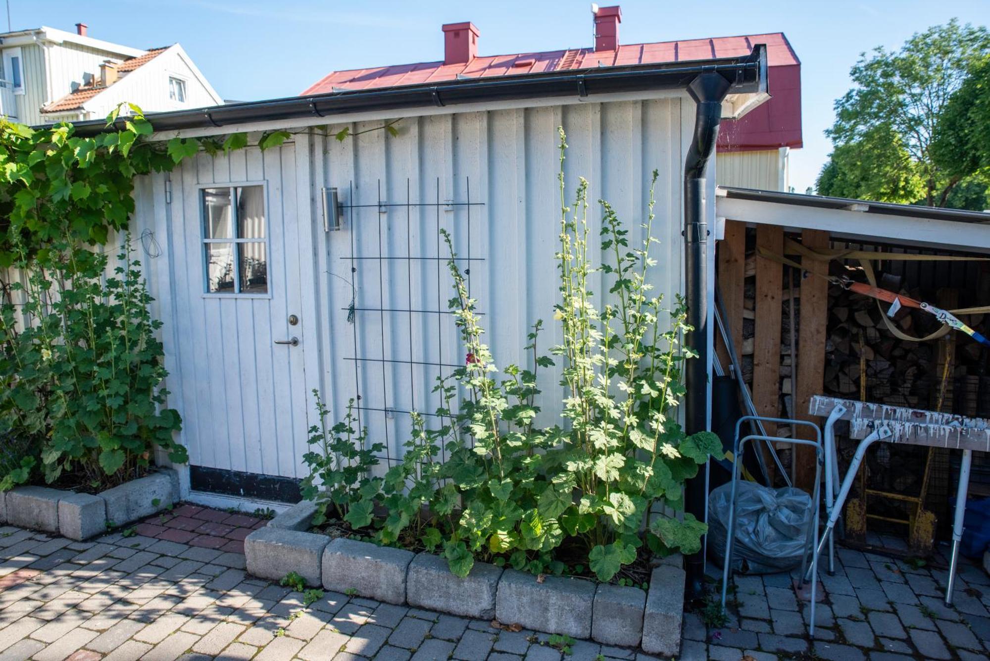 Guest House Tullgatan 24 Borgholm Exterior foto